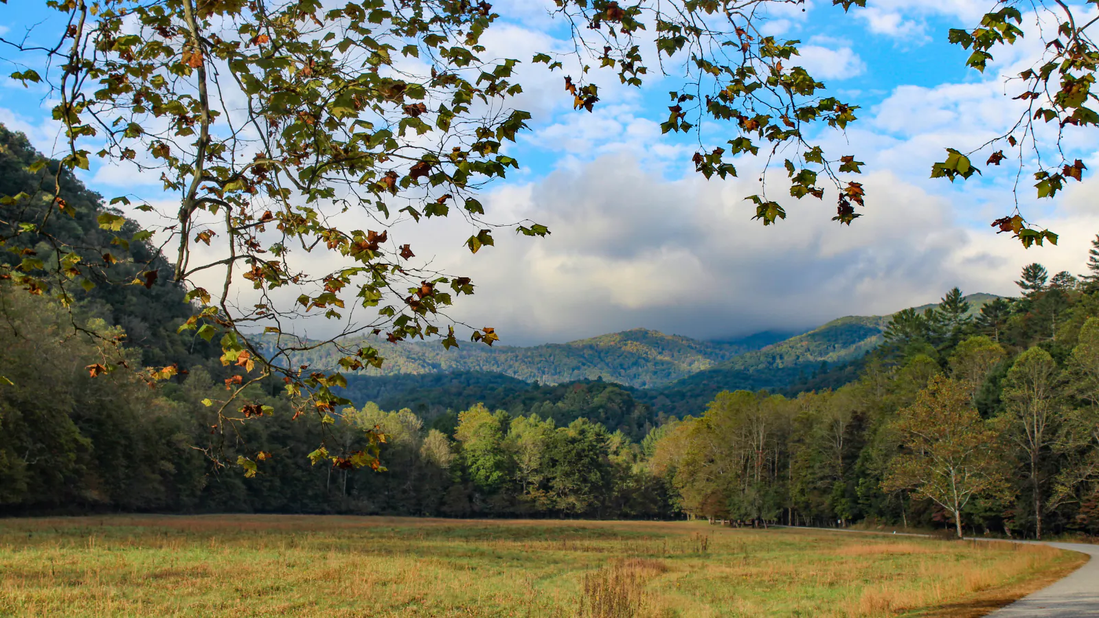 Autumn landscape in Great Smoky Mountains National Park