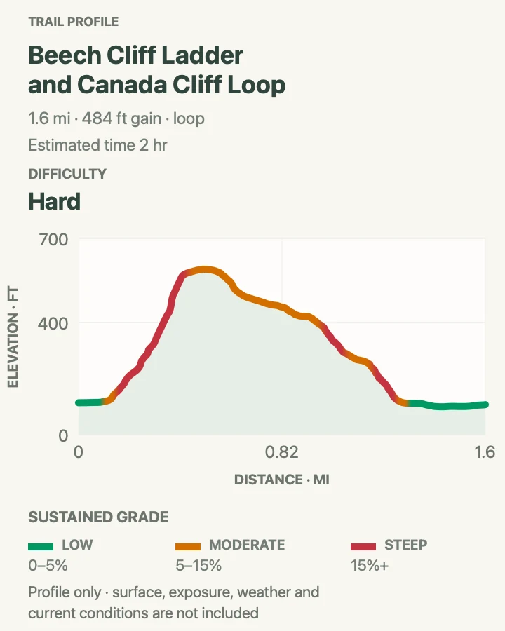 Elevation profile for Beech Cliff Ladder and Canada Cliff Loop in Acadia National Park