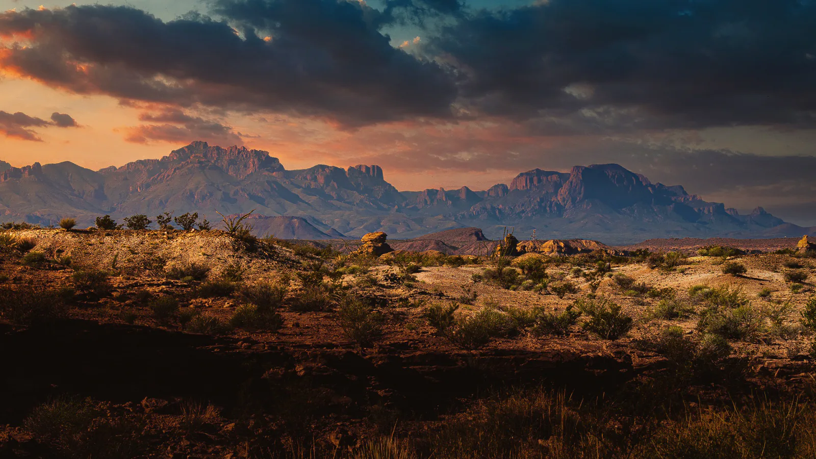 Late sunlight reaches the Chihuahuan Desert below the Chisos Mountains in Big Bend National Park