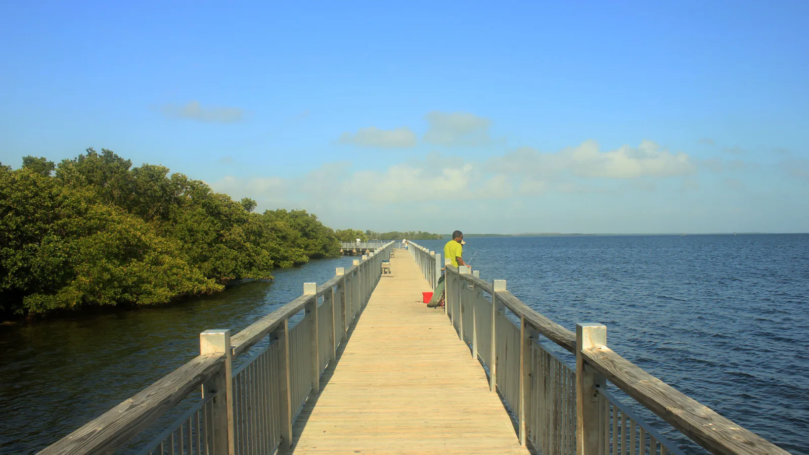A long wooden jetty runs between mangroves and the blue water of Biscayne Bay
