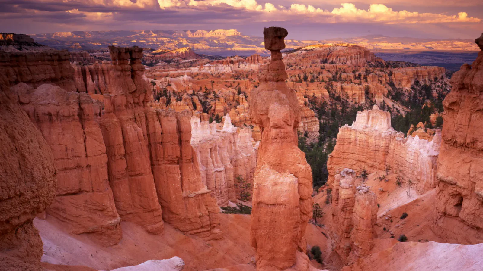 Orange hoodoos and pine-covered slopes below the rim of Bryce Canyon National Park