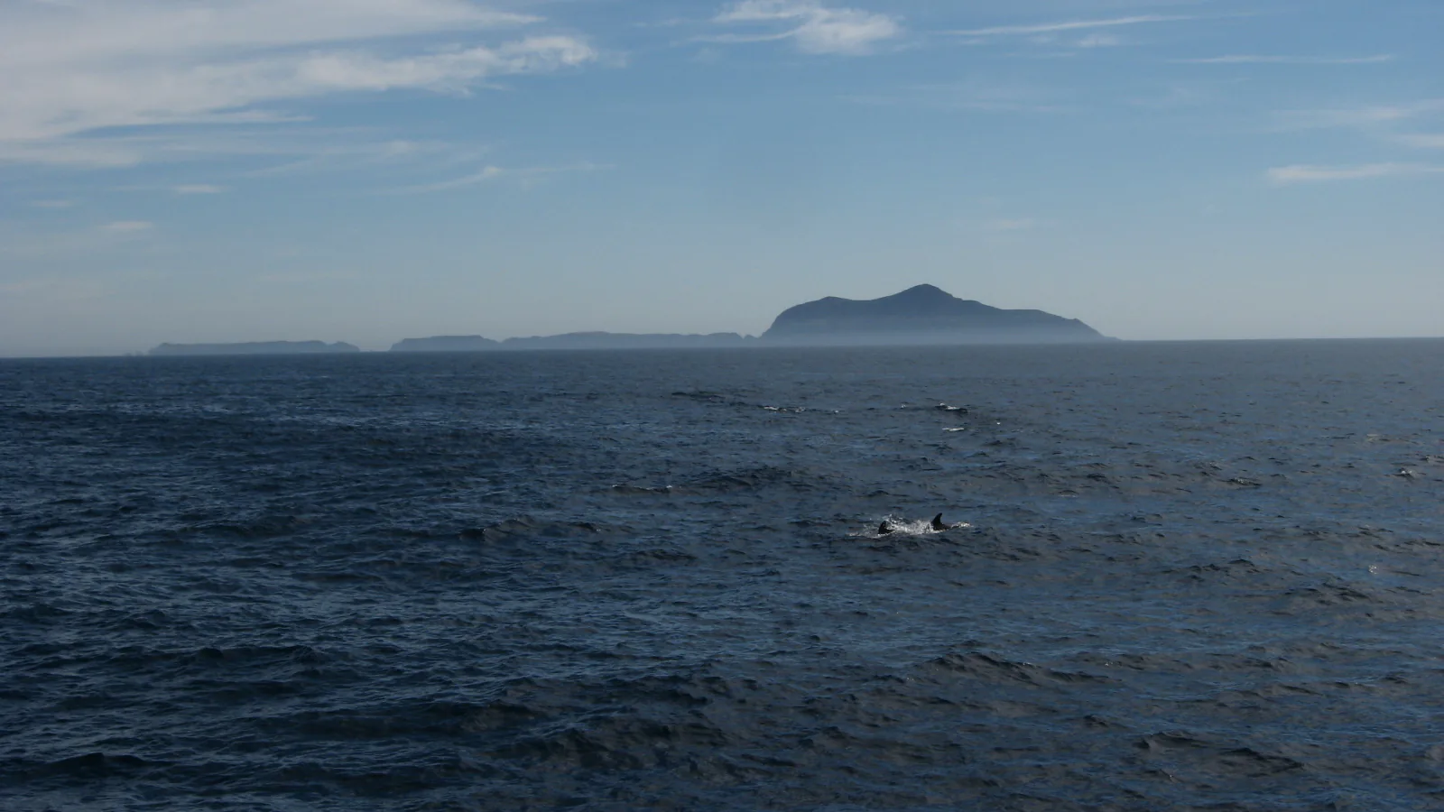 Two dolphins surface in the Pacific Ocean with the Channel Islands rising in the distance