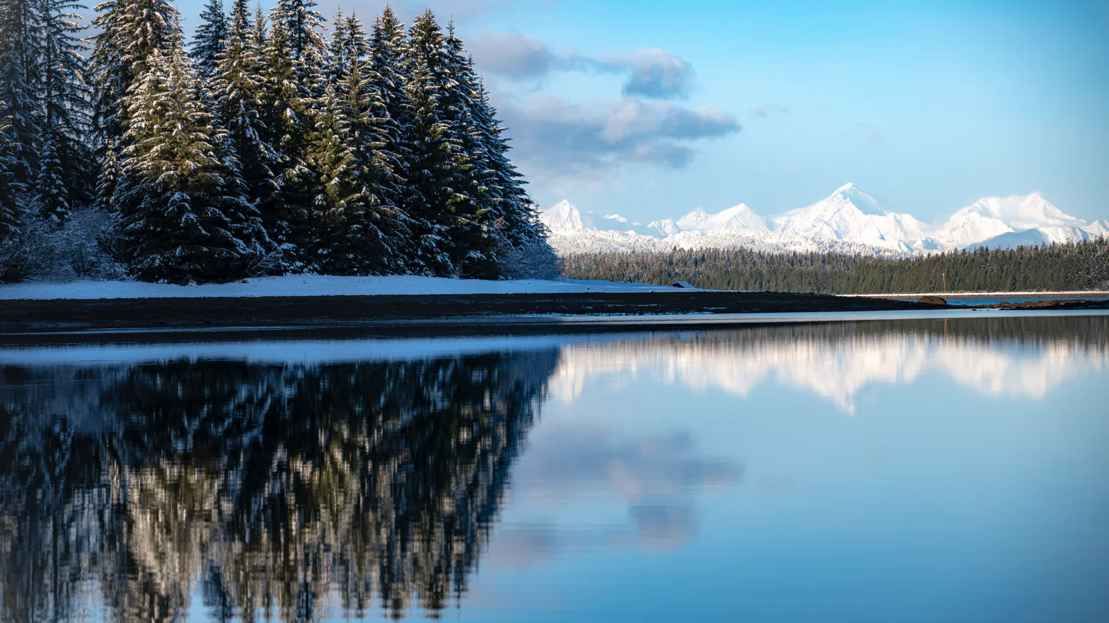 Blue water leads toward snowy mountains and glaciers in Glacier Bay National Park