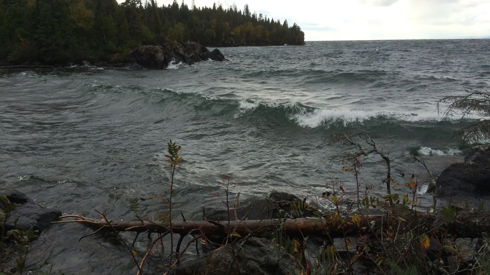 Rocky Lake Superior shoreline and boreal forest in Isle Royale National Park