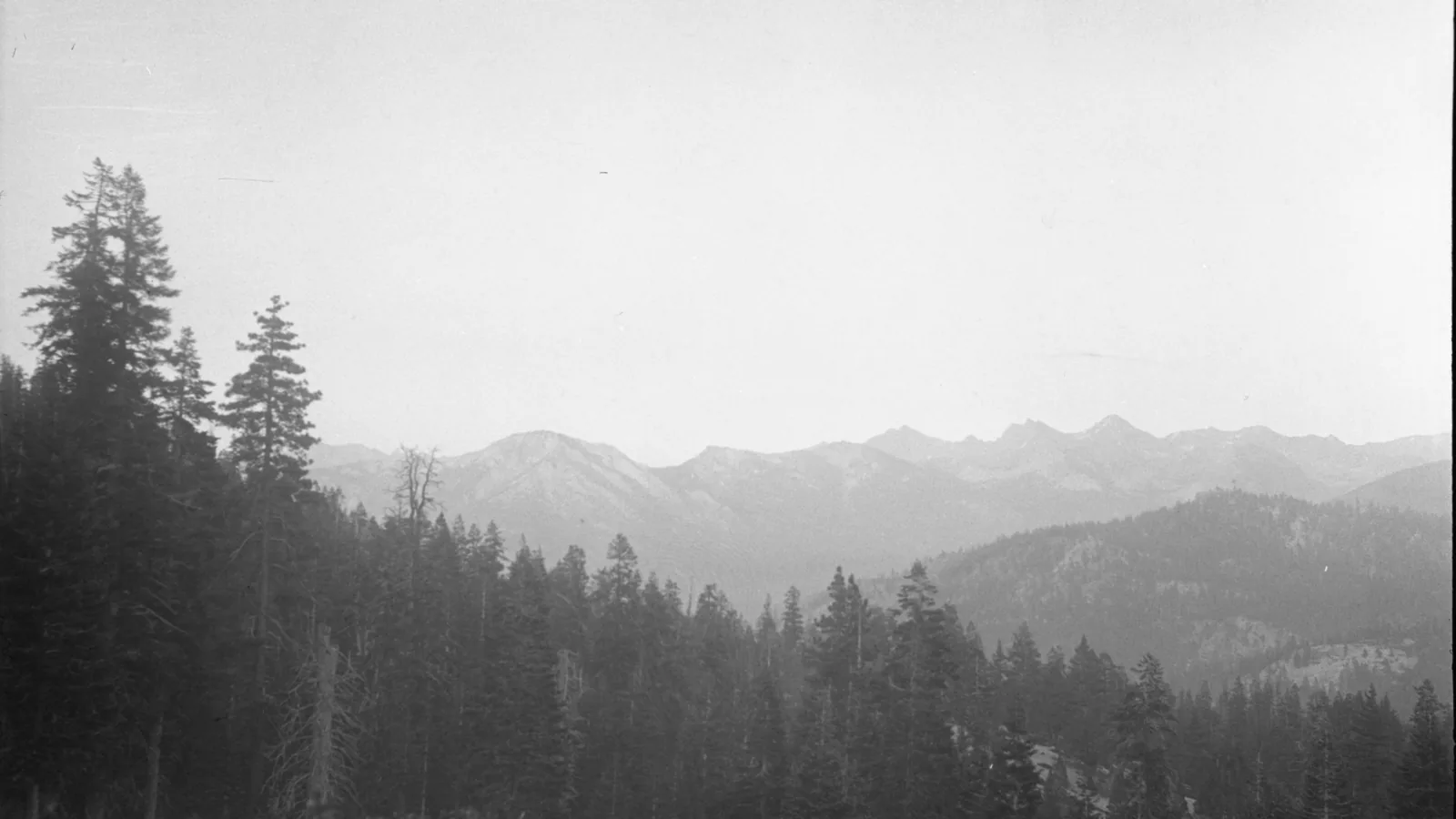Granite canyon walls, conifer forest, and the Kings River in Kings Canyon National Park