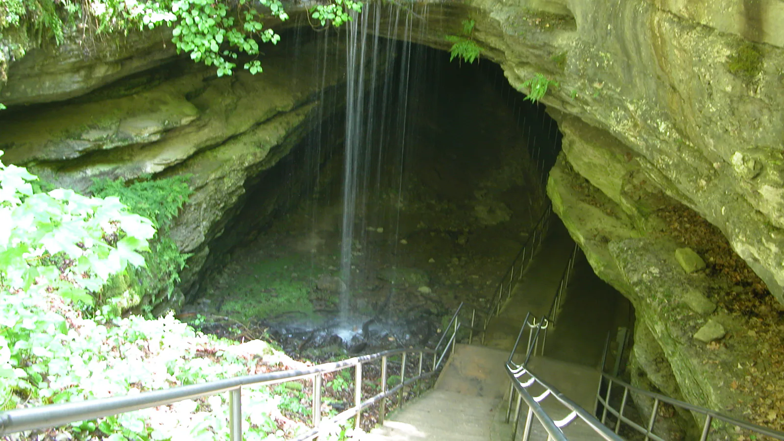 Forest trail in Mammoth Cave National Park