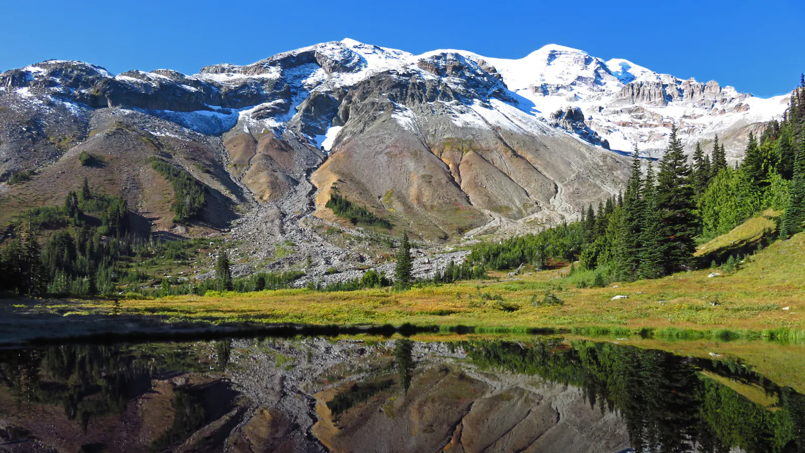 Mount Rainier rises above green subalpine terrain beneath a blue sky