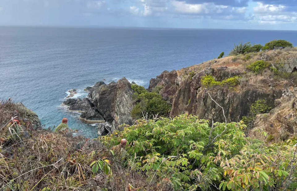 Rocky Caribbean coast and dry forest beside Tektite Trail in Virgin Islands National Park