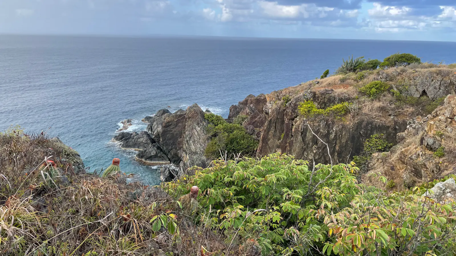 Rocky Caribbean coast and dry forest beside Tektite Trail in Virgin Islands National Park