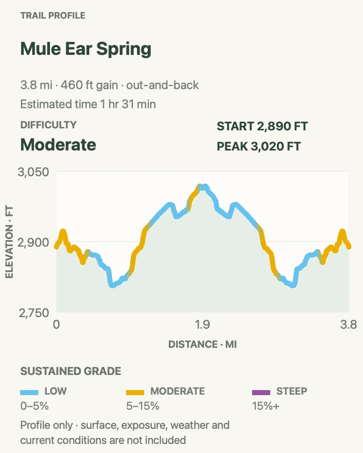 Elevation profile for Mule Ears Spring Trail in Big Bend National Park