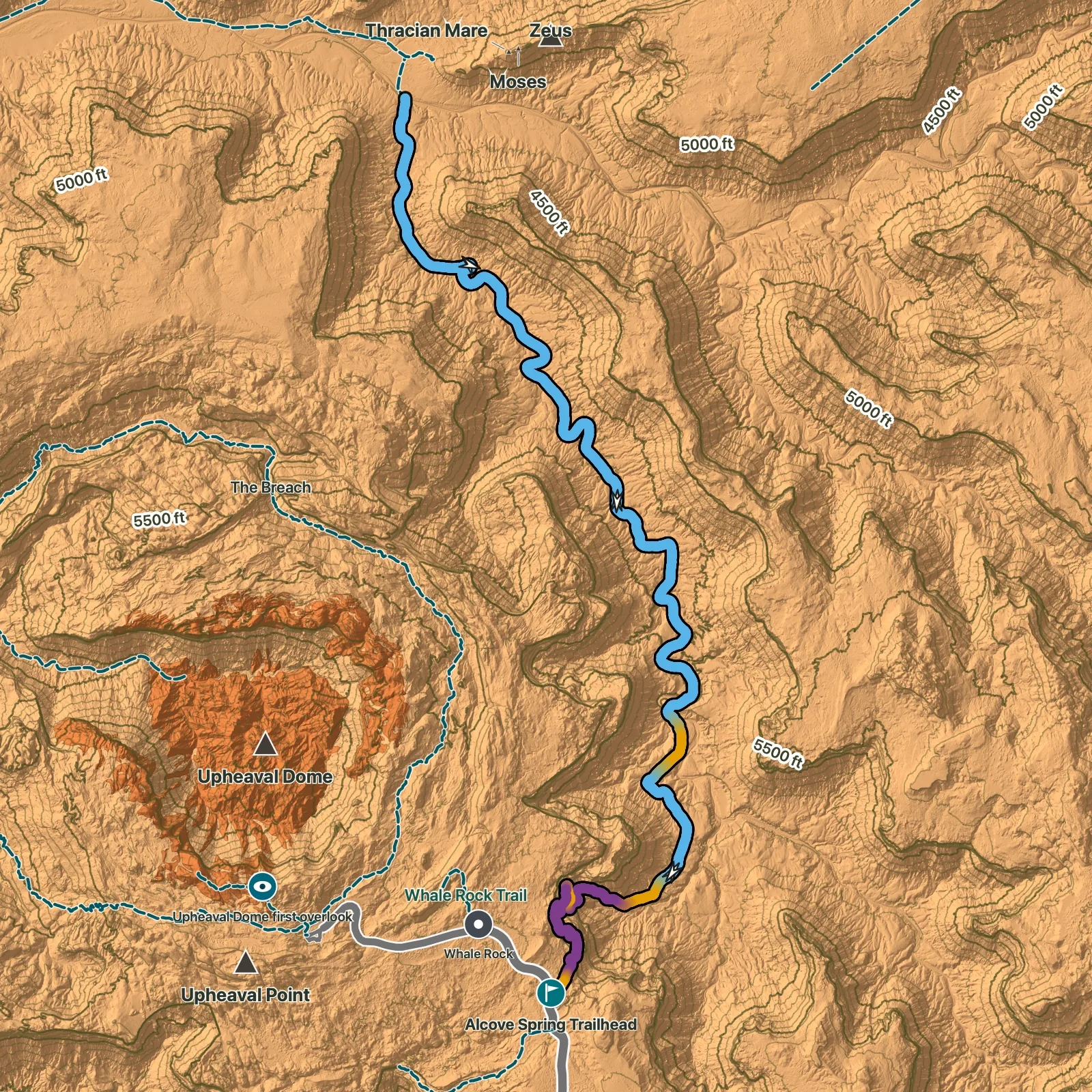 Terrain map of Alcove Spring Trail in Canyonlands National Park