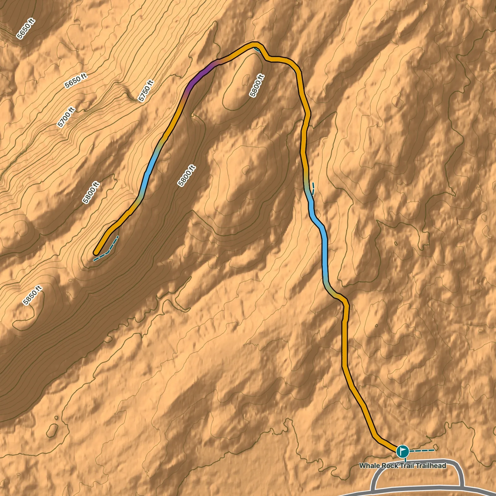 Terrain map of Whale Rock Trail in Canyonlands National Park