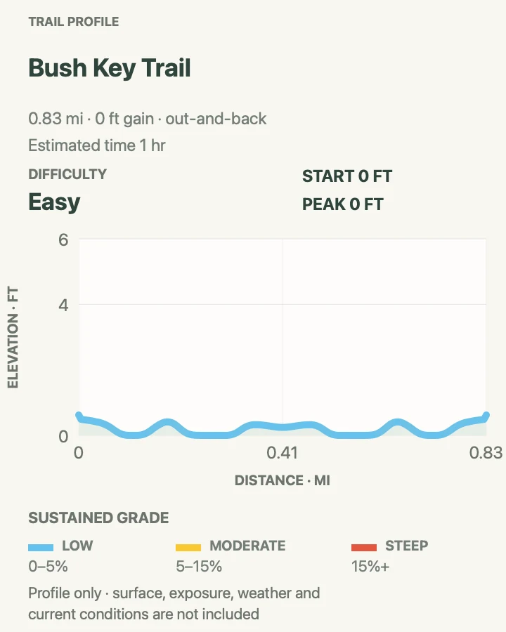 Elevation profile for Bush Key Shoreline Walk in Dry Tortugas National Park