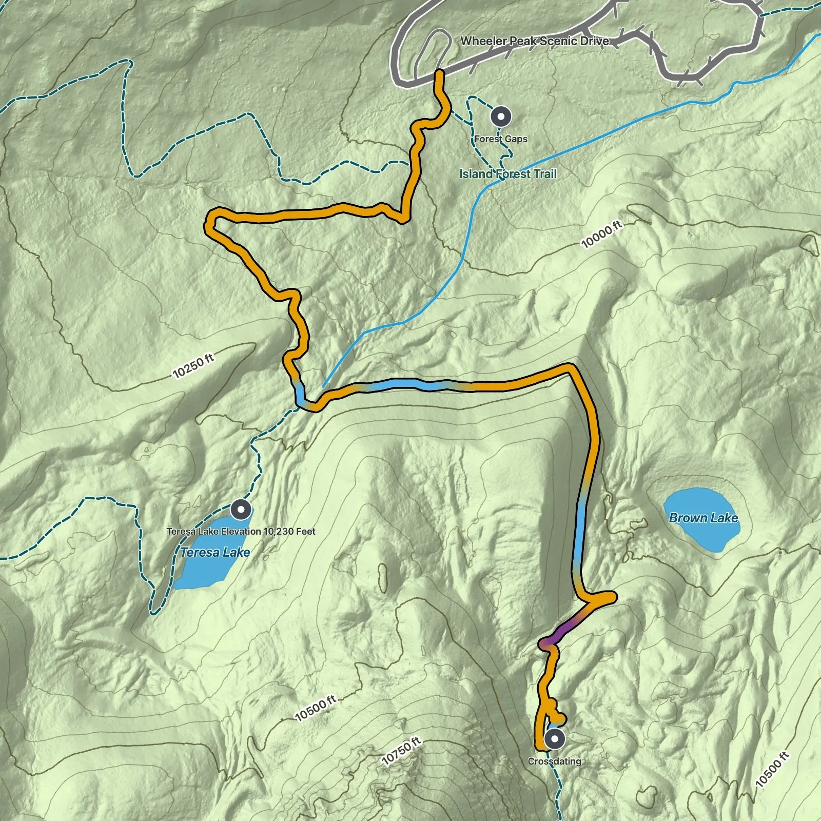 Terrain map of Bristlecone Pine Grove Trail in Great Basin National Park