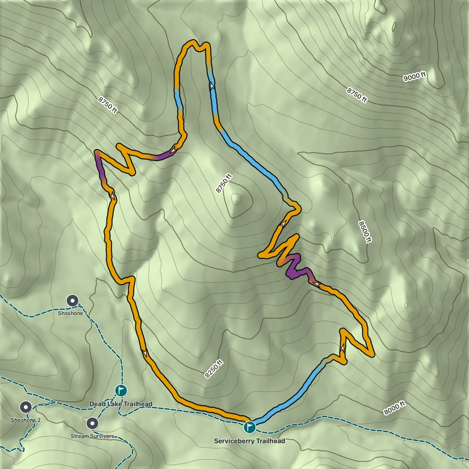 Terrain map of Serviceberry Loop in Great Basin National Park