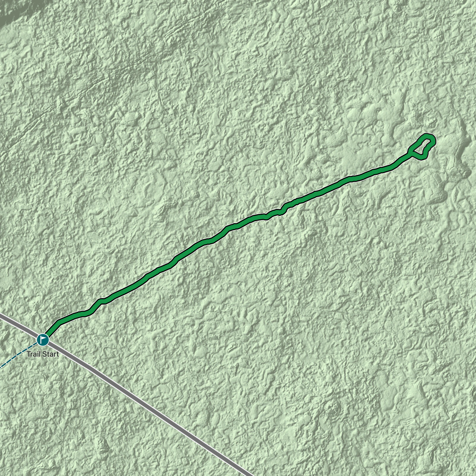 Terrain map of Puʻuloa Petroglyphs Trail in Hawaiʻi Volcanoes National Park