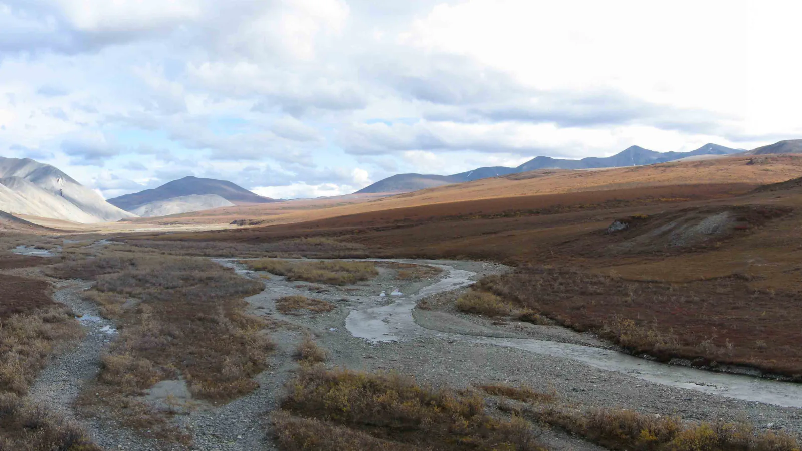 Pale sand dunes rise from green tundra in Kobuk Valley National Park