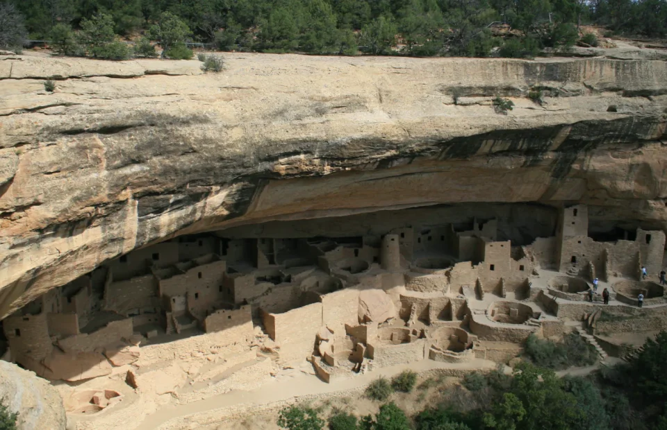 Cliff Palace masonry structures beneath a broad sandstone alcove at Mesa Verde National Park
