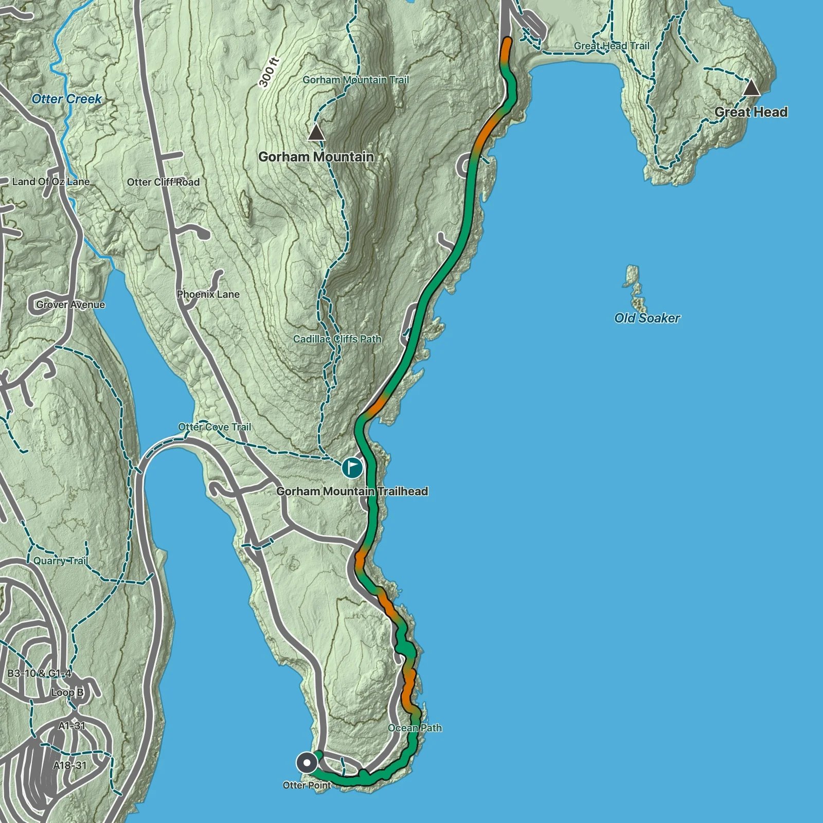 Terrain map showing the Ocean Path route in Acadia National Park