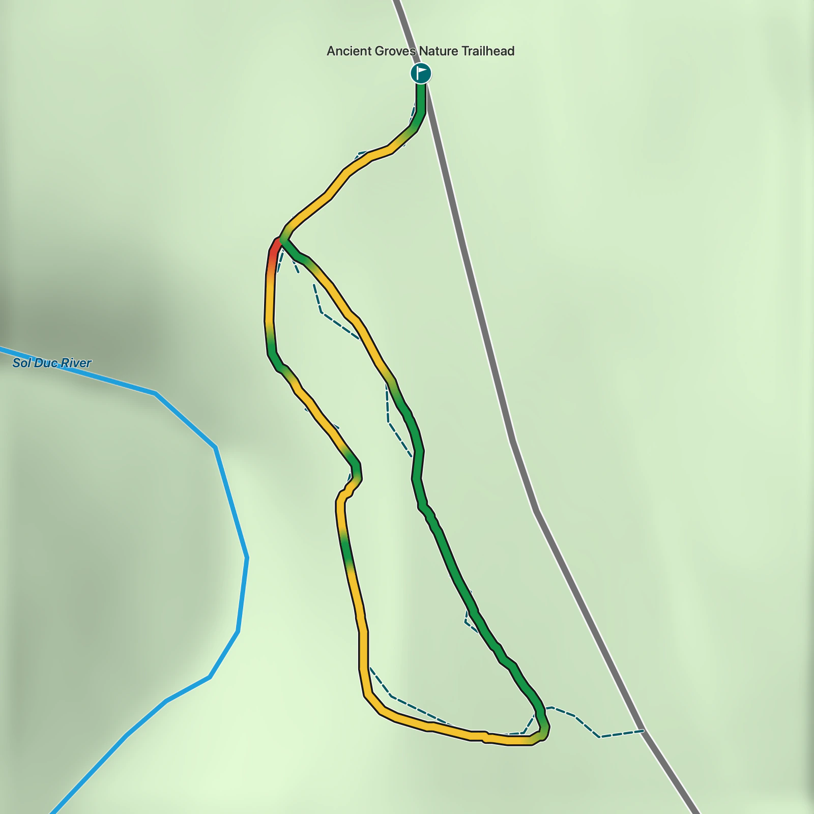 Terrain map of Ancient Groves Nature Trail in Olympic National Park