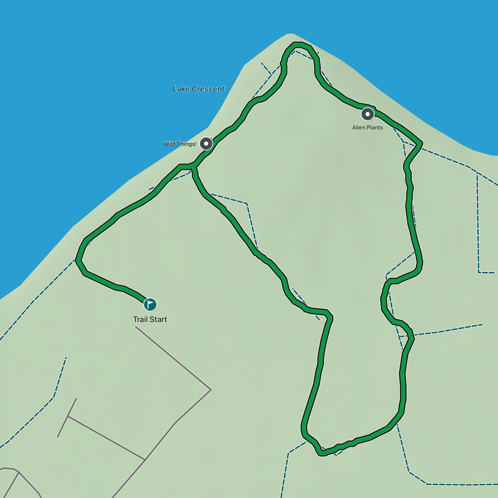 Terrain map of Moments in Time Trail in Olympic National Park