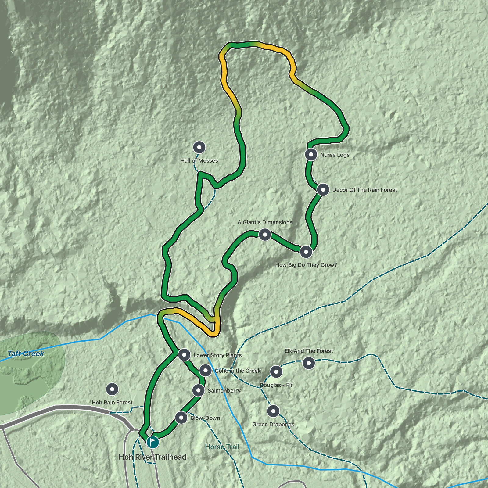Terrain map of Hall of Mosses and Spruce Nature Trail in Olympic National Park