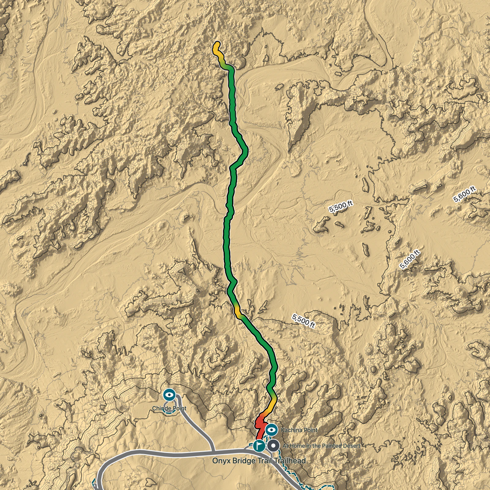 Terrain map of Onyx Bridge Trail in Petrified Forest National Park