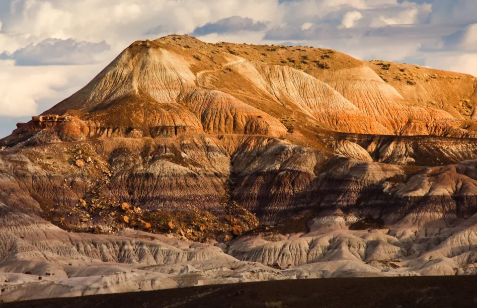 Southern Mesa badlands and grassland in Petrified Forest National Park