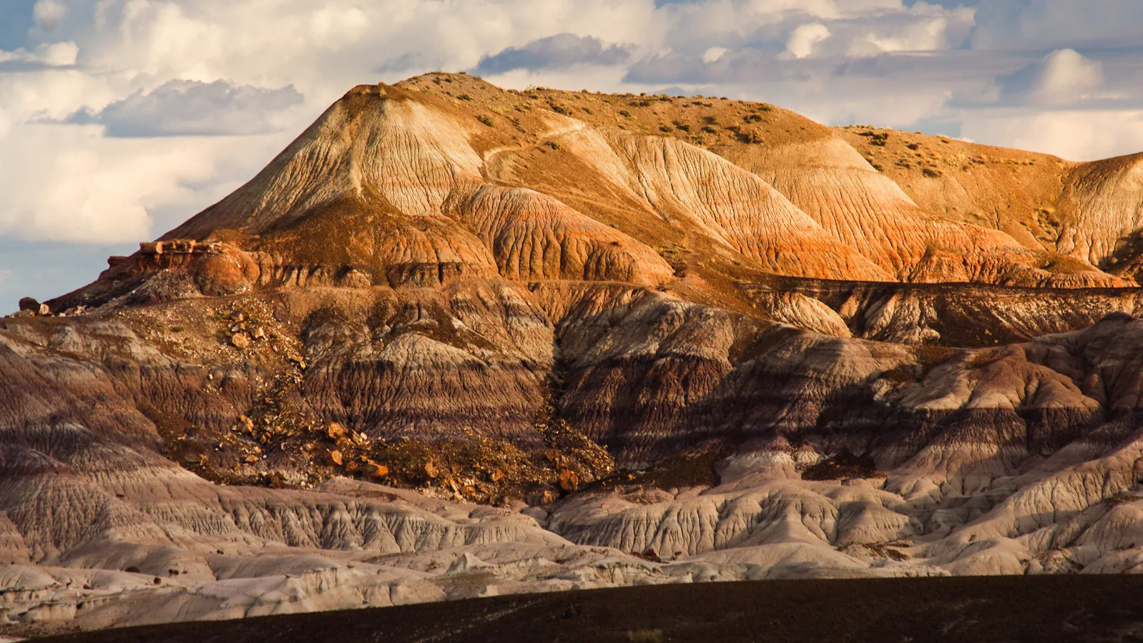 Southern Mesa badlands and grassland in Petrified Forest National Park