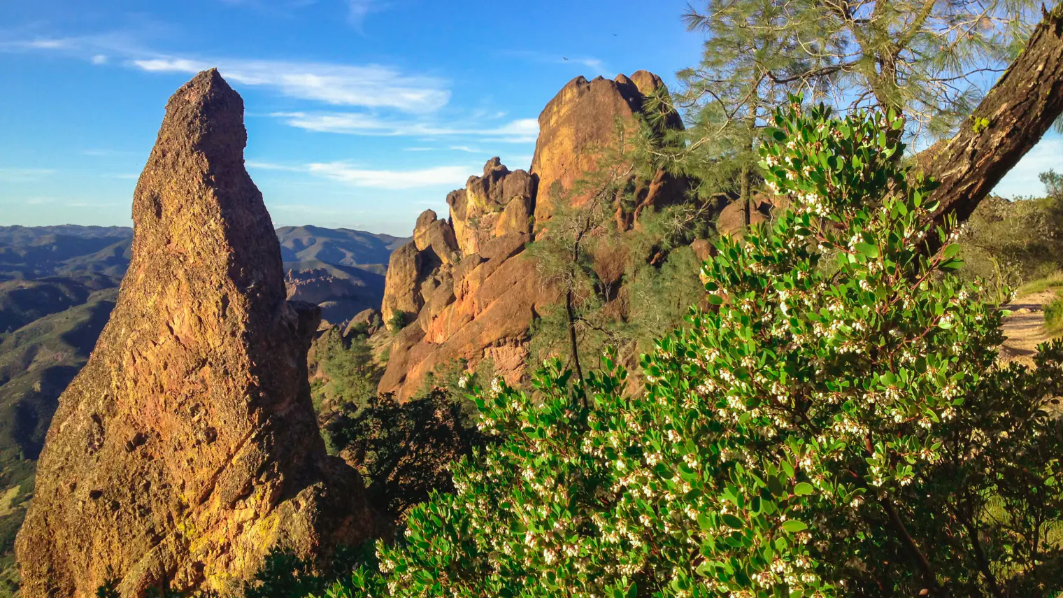 High Peaks rock formations above flowering manzanita in Pinnacles National Park