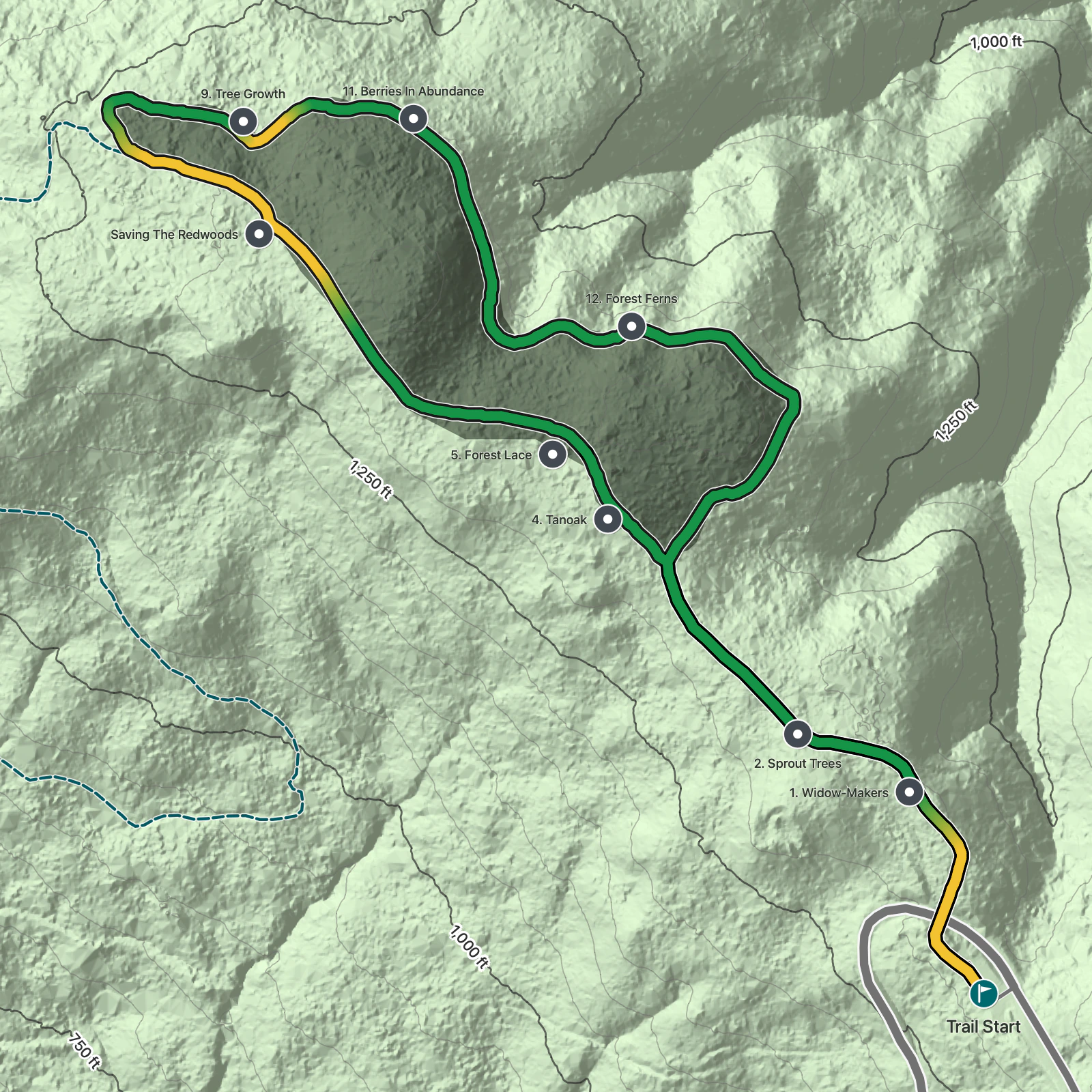 Terrain map of Lady Bird Johnson Grove Trail in Redwood National Park