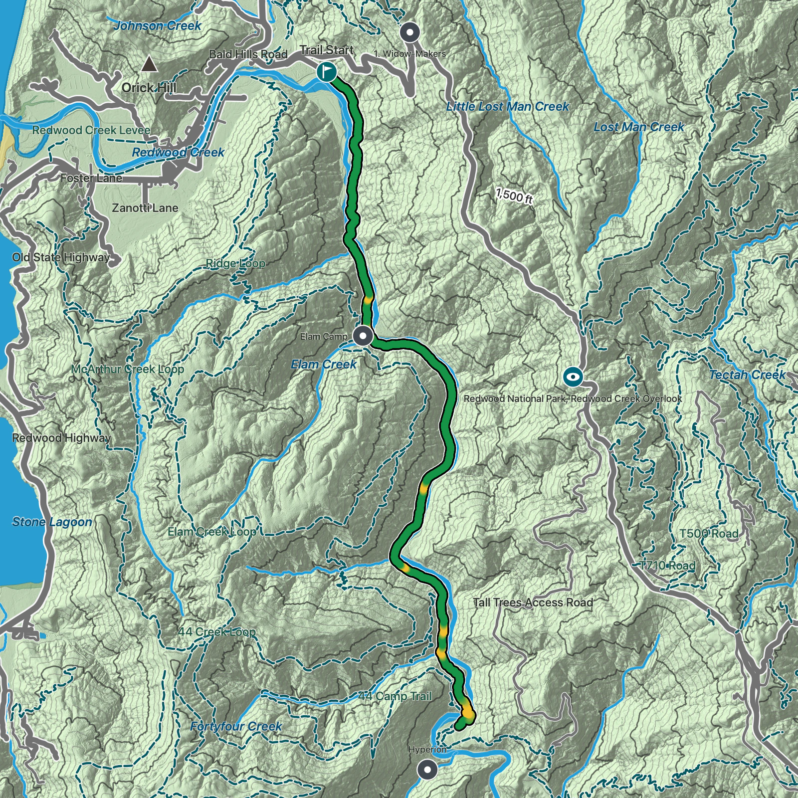 Terrain map of Redwood Creek Trail in Redwood National Park