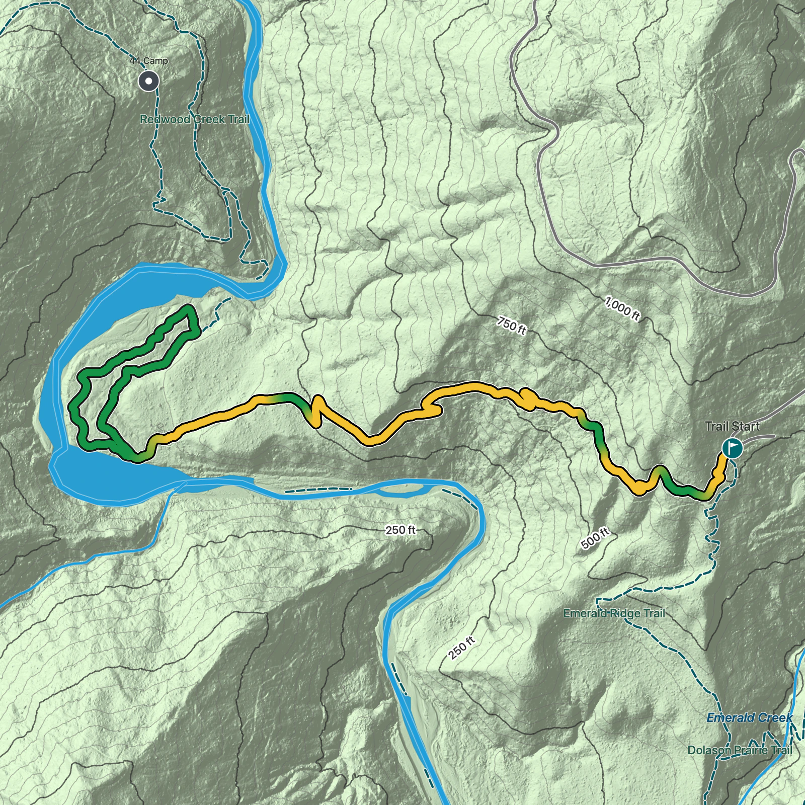 Terrain map of Tall Trees Grove Loop Trail in Redwood National Park