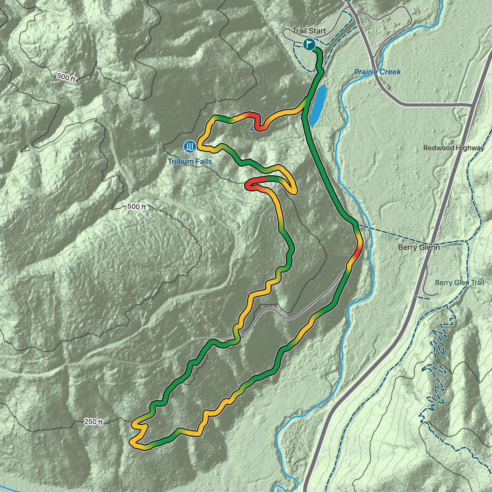 Terrain map of Trillium Falls Trail in Redwood National Park