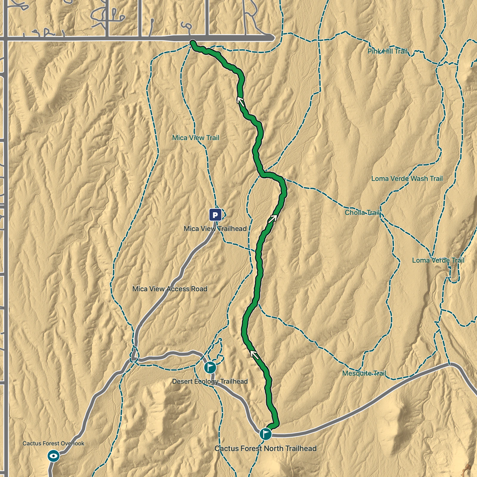 Terrain map of Cactus Forest North in Saguaro National Park