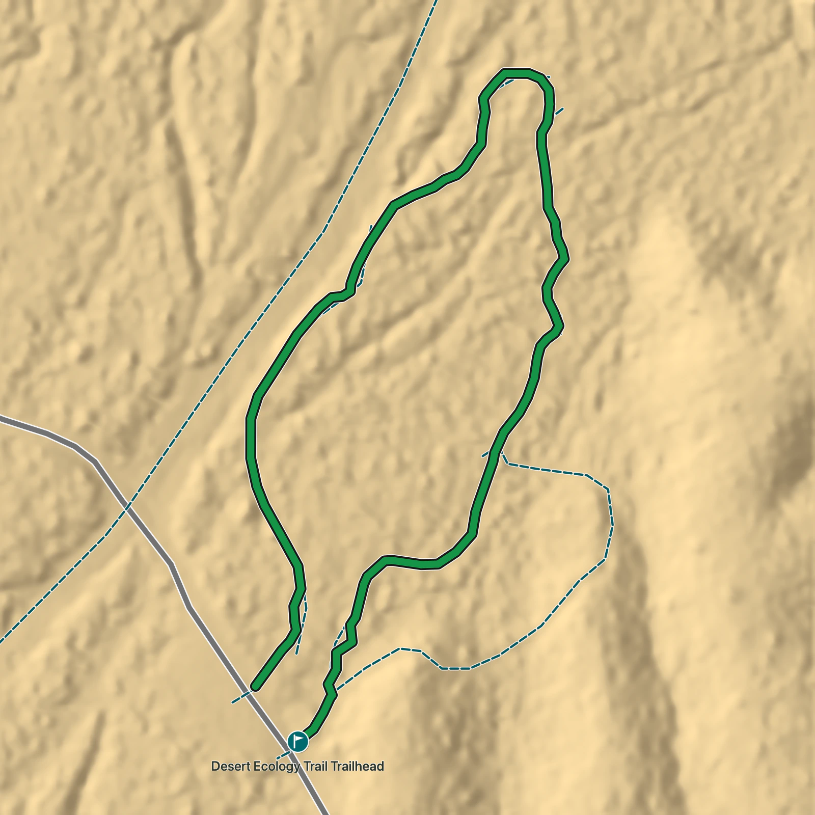 Terrain map of Desert Ecology Trail in Saguaro National Park