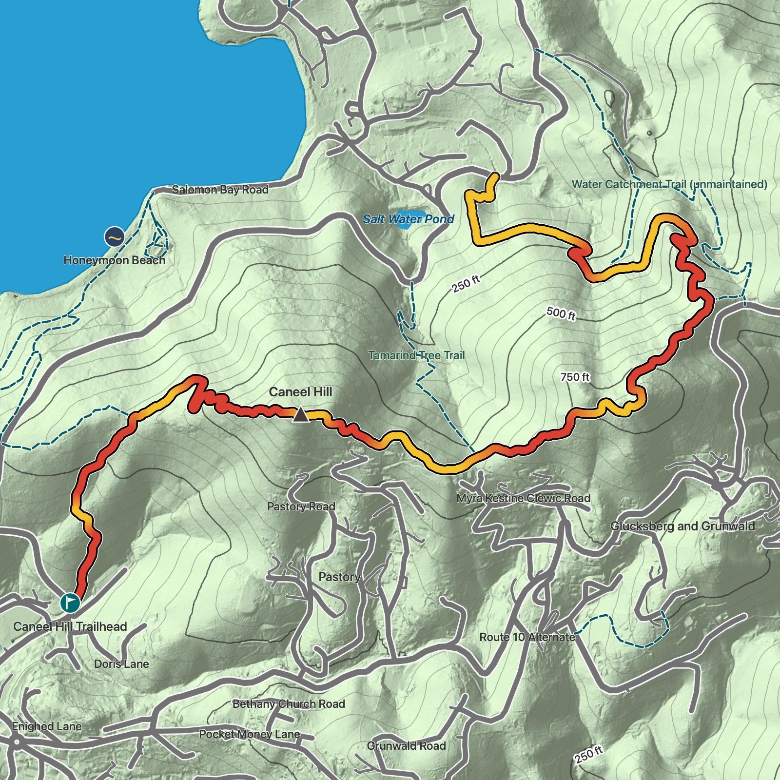 Terrain map of Caneel Hill Trail in Virgin Islands National Park