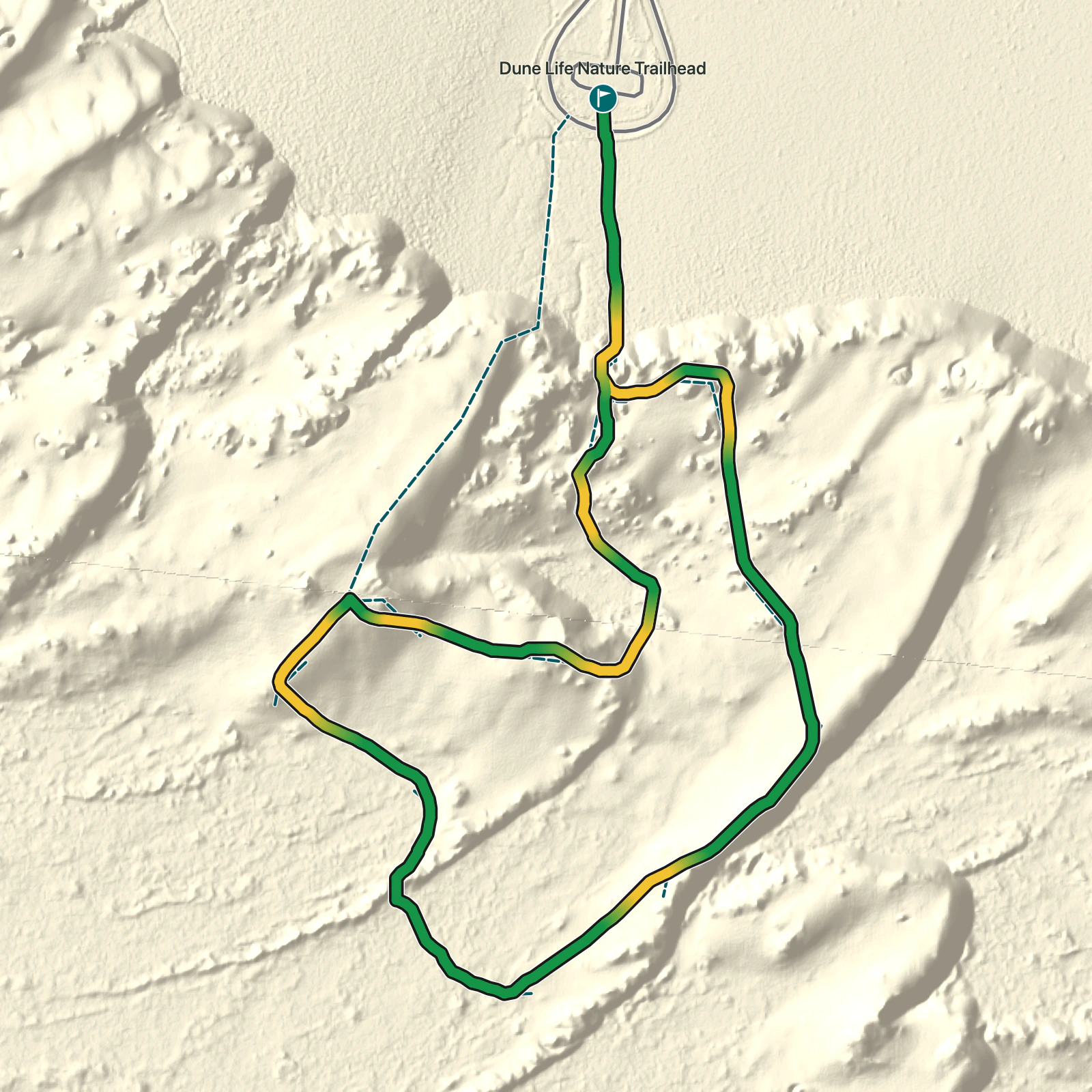 Terrain map of Dune Life Nature Trail in White Sands National Park