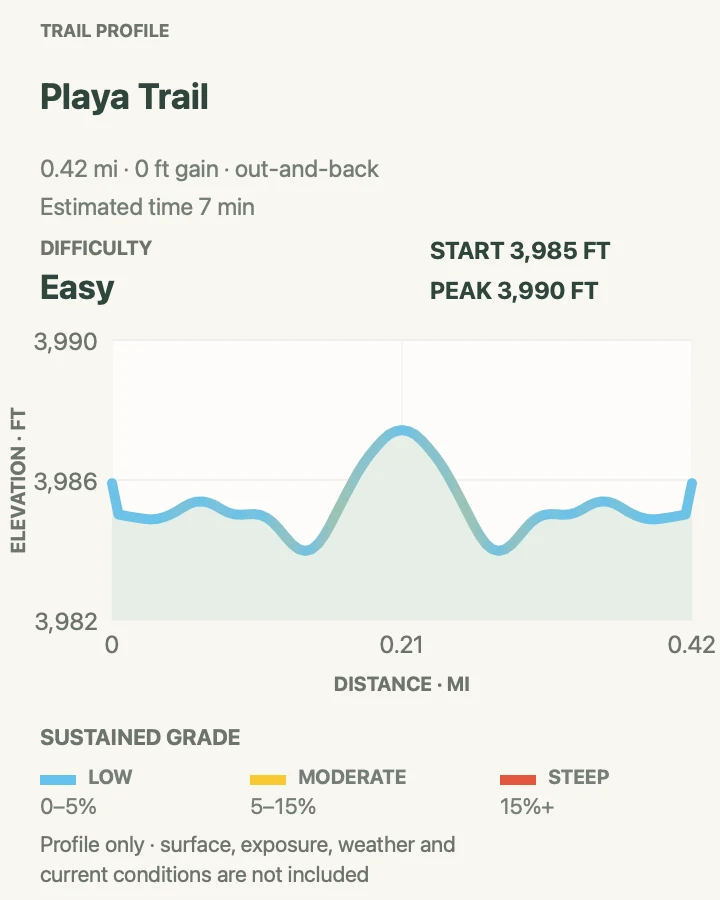 Elevation profile for Playa Trail in White Sands National Park
