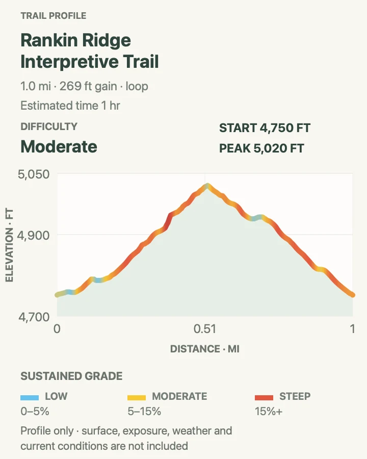 Elevation profile for Rankin Ridge Interpretive Trail in Wind Cave National Park