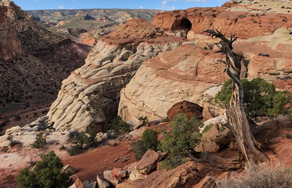 Cassidy Arch rising above layered sandstone in Capitol Reef National Park