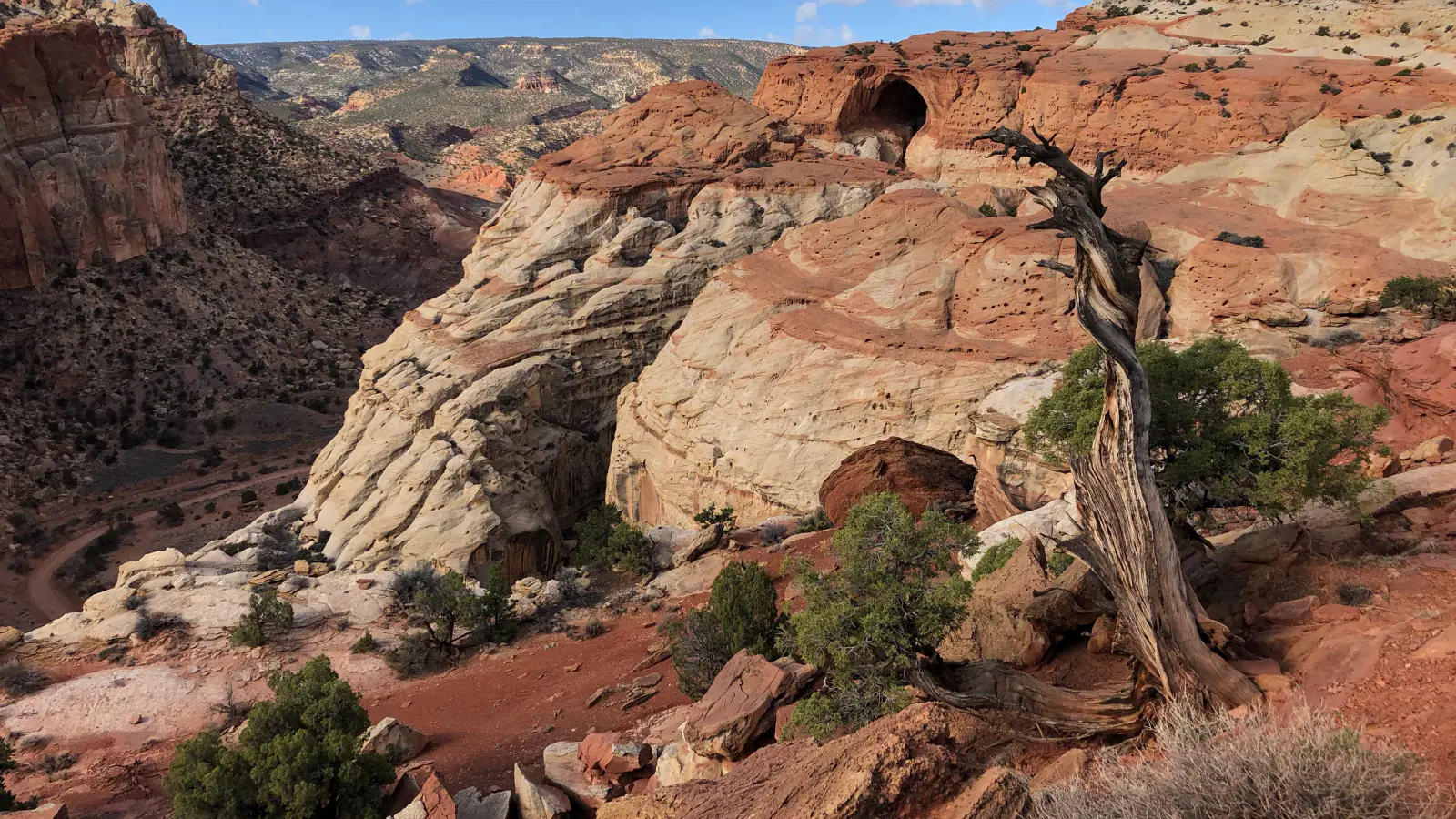 Cassidy Arch rising above layered sandstone in Capitol Reef National Park