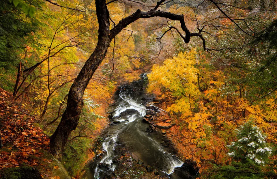 Tinkers Creek flowing through autumn woods in Cuyahoga Valley National Park