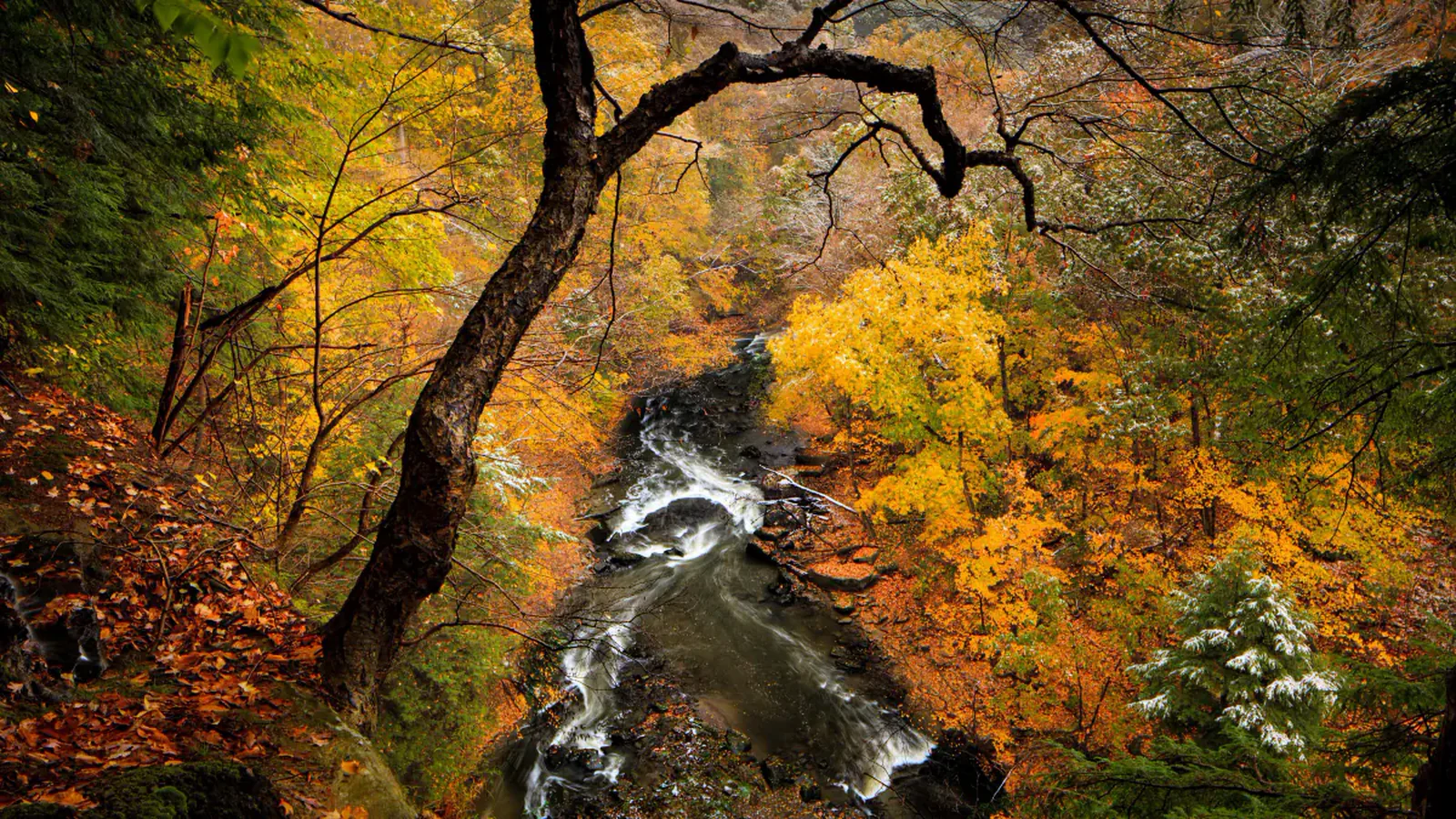 Tinkers Creek flowing through autumn woods in Cuyahoga Valley National Park