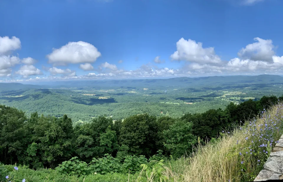 Blue Ridge mountains and forest viewed from a Skyline Drive overlook in Shenandoah National Park