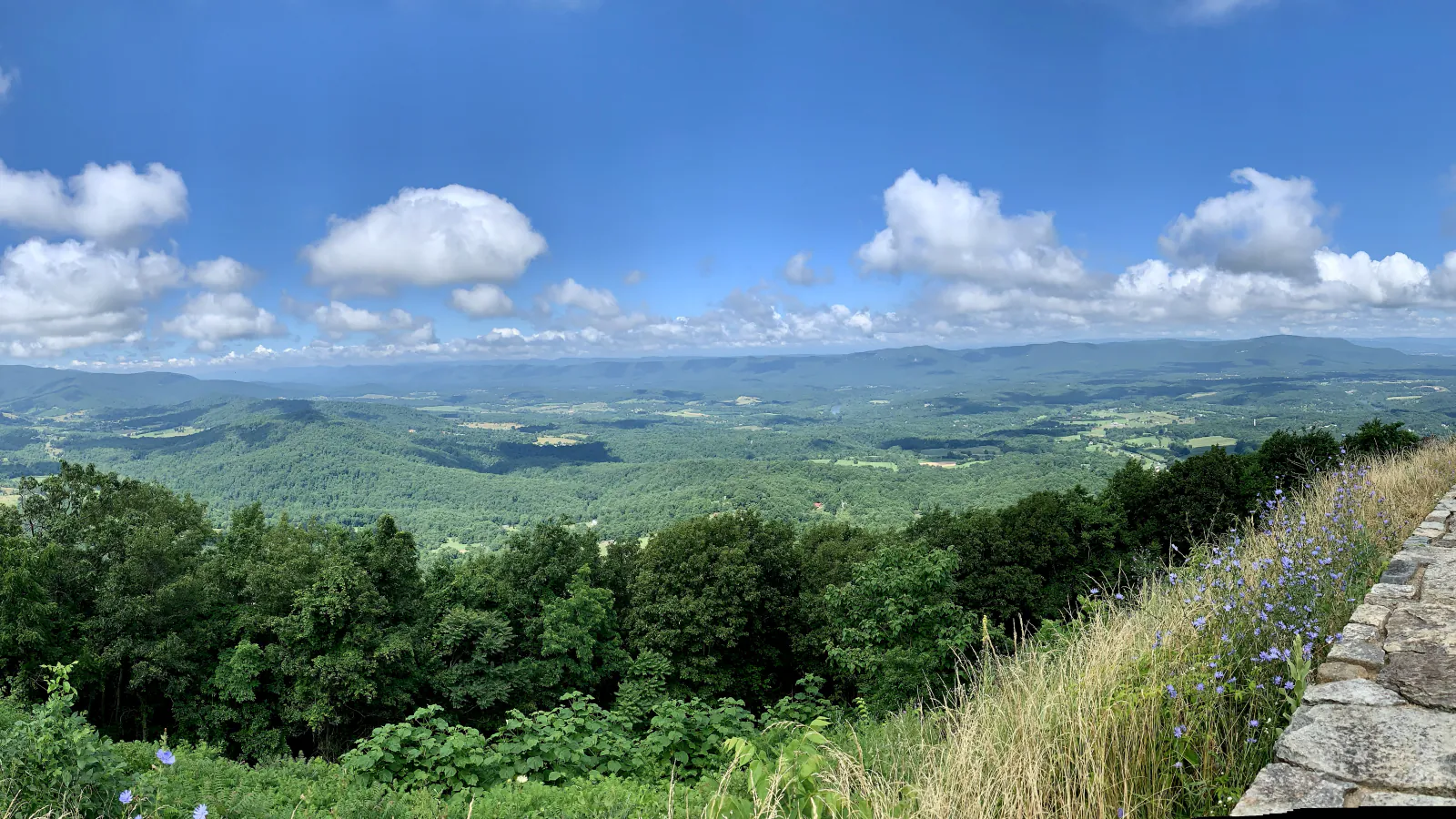 Blue Ridge mountains and forest viewed from a Skyline Drive overlook in Shenandoah National Park