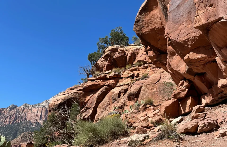 A rocky hiking trail crosses red sandstone beneath a clear blue sky in Zion National Park