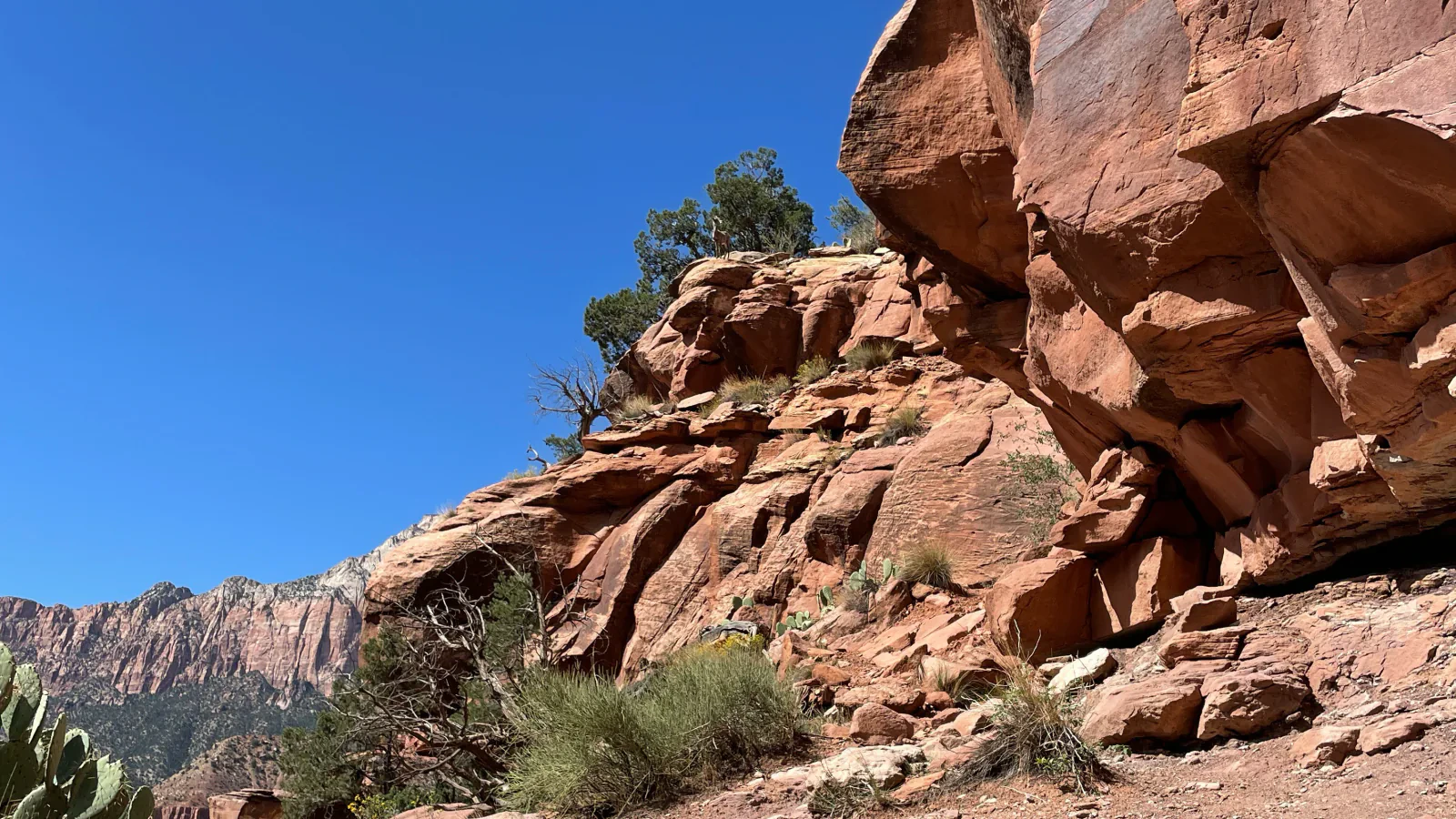 A rocky hiking trail crosses red sandstone beneath a clear blue sky in Zion National Park