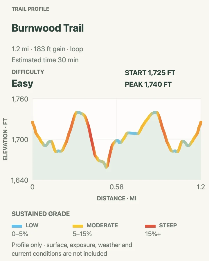 Elevation profile for Burnwood Trail in New River Gorge National Park and Preserve