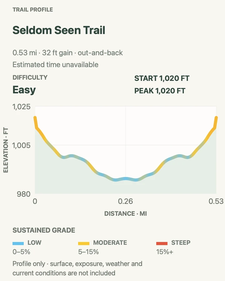 Elevation profile for Seldom Seen Trail in New River Gorge National Park and Preserve